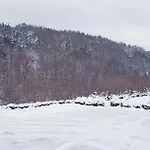 Daglezja Przyborow (Silesia)