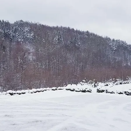 Daglezja Przyborow (Silesia)