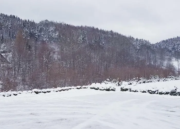 Daglezja Przyborow (Silesia)